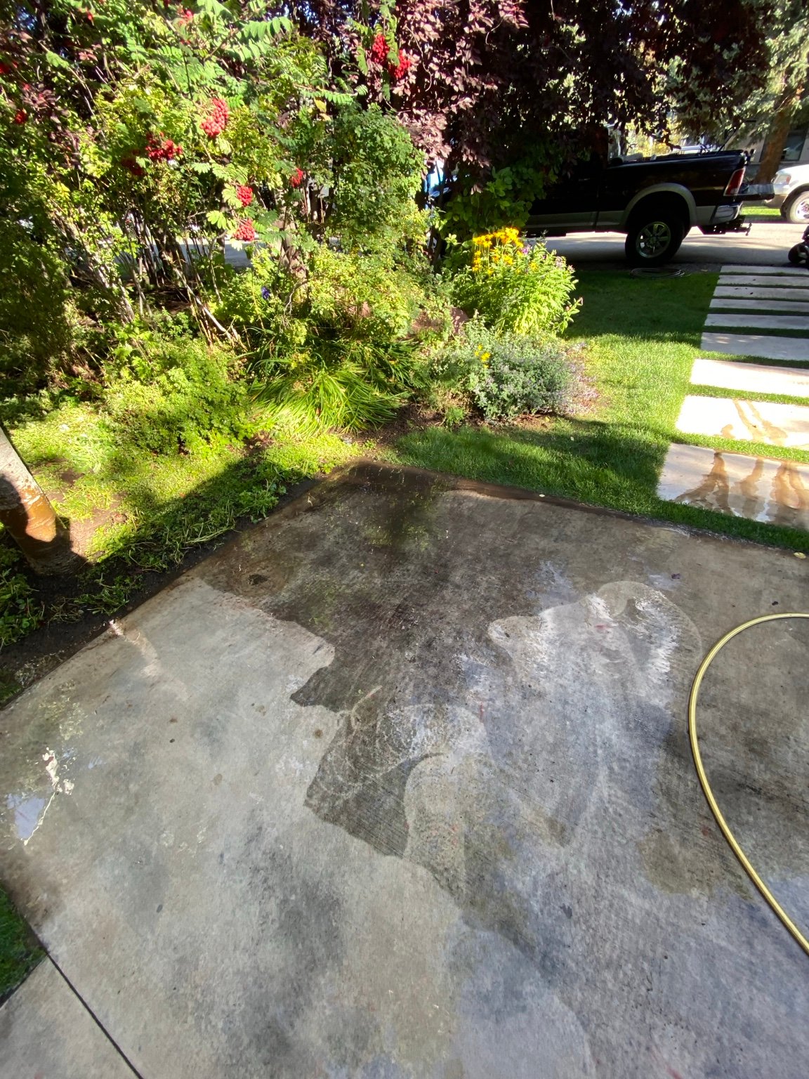 Western Sealing project photo